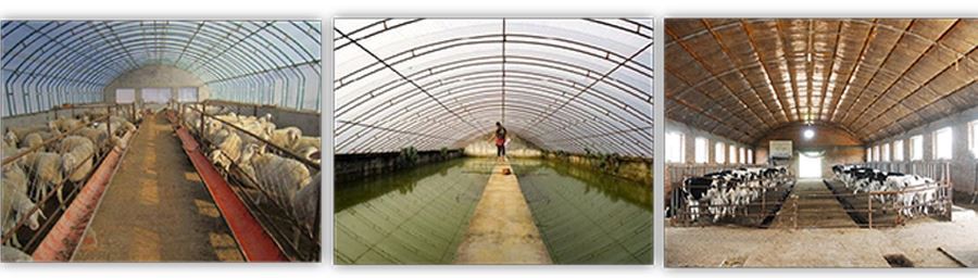 uv resistant greenhouse plastic sheeting made in china