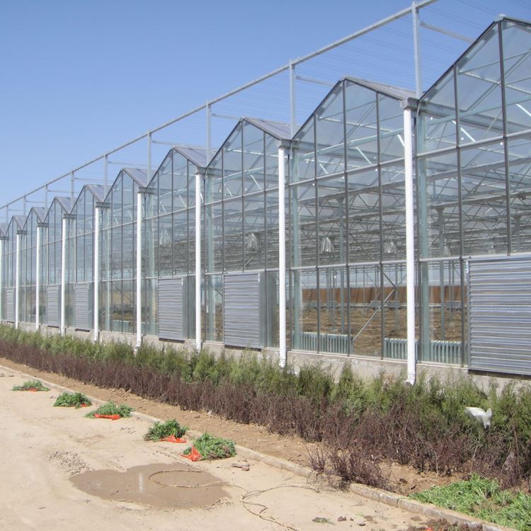 Covering materials commonly used in greenhouses Covering materials commonly used in greenhouses
