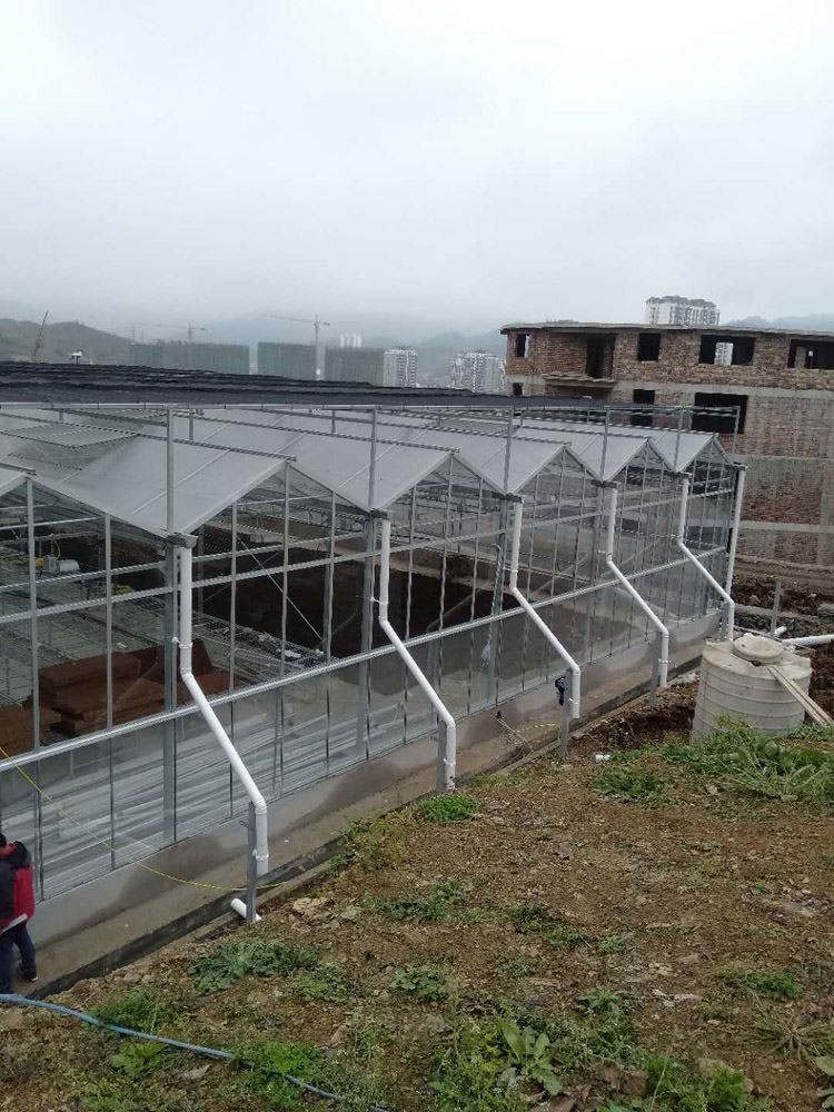 How to reduce nitrate in vegetables grown in greenhouses