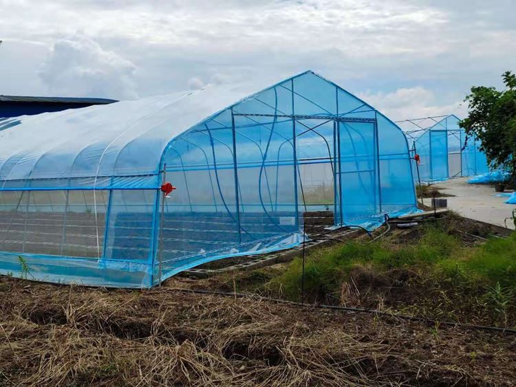 Greenhouse automatic sprinkler irrigation system