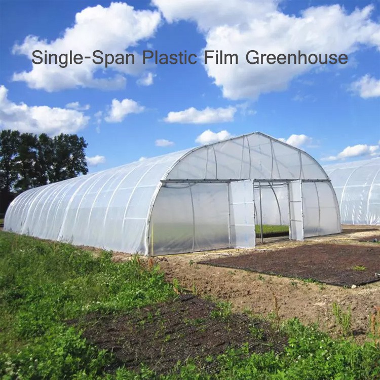 The characteristics of the round-arch multi-span greenhouse The characteristics of the round-arch multi-span greenhouse