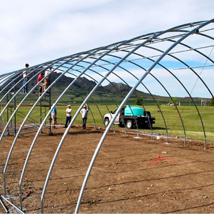 film greenhouse