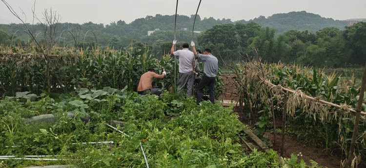 Smart Greenhouse