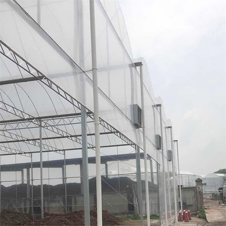 clear plastic sheeting for greenhouses factory