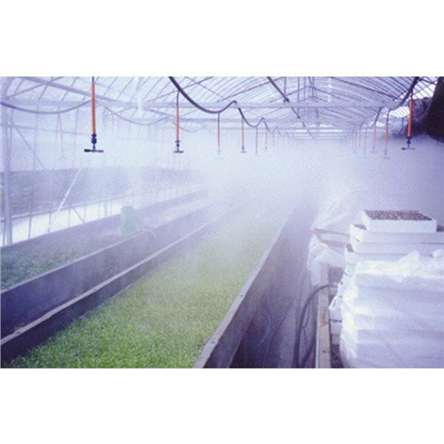 Kasvihuone tippu sprinklerin kastelu